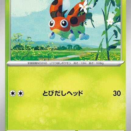 1-ledyba