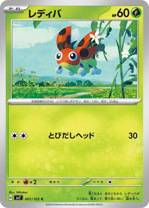 1-ledyba