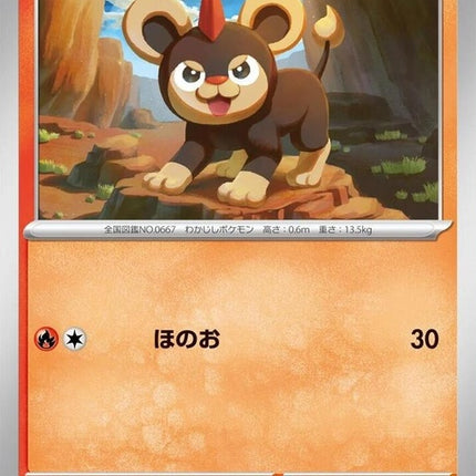10-litleo