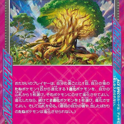 101-greatbigtree