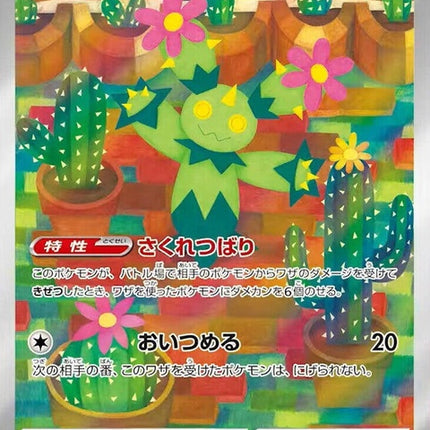 101-maractus