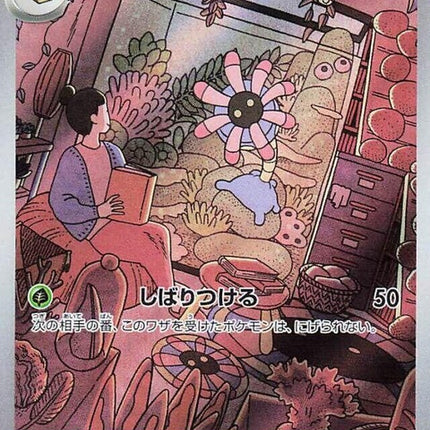 104-lileep