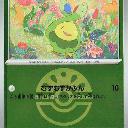 11-budew-friendballpattern