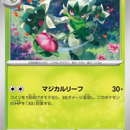 11-floragato