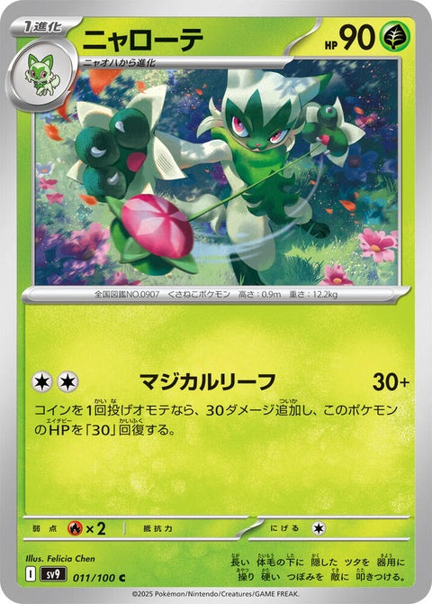 11-floragato