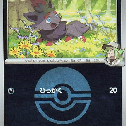 111-nszorua-pokeballpattern