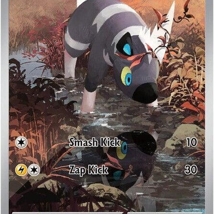 114-blitzle