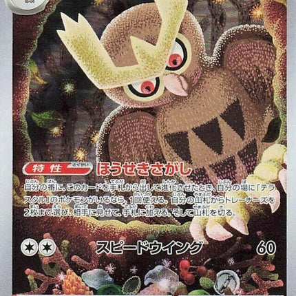 114-noctowl