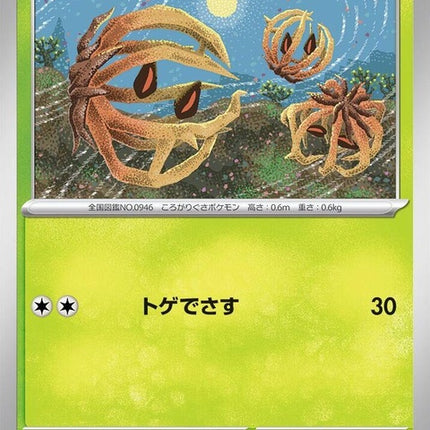 12-bramblin