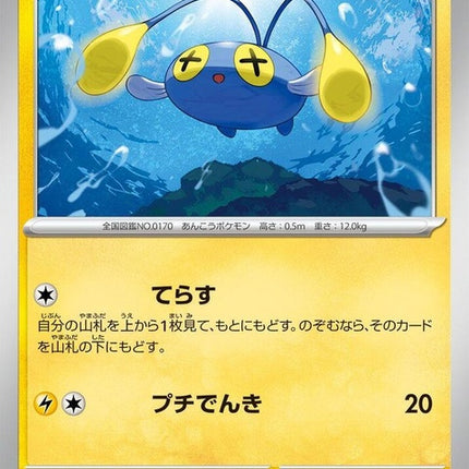 12-chinchou