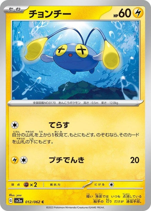 12-chinchou