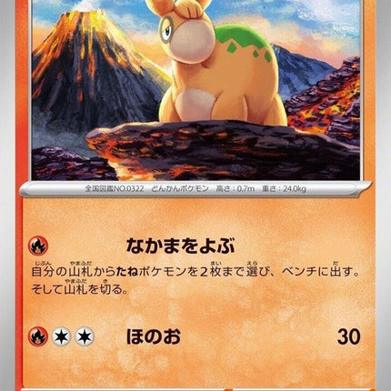 12-numel