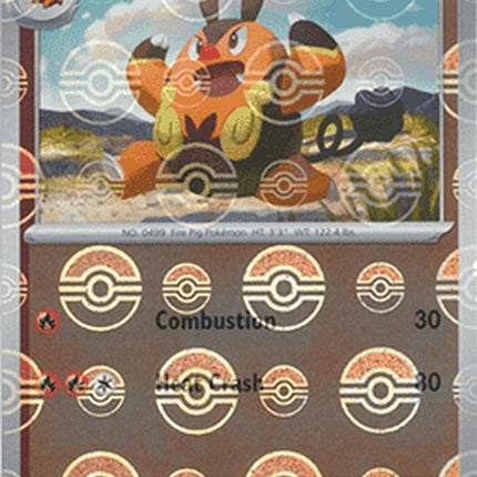 12-pignite-pokeballpattern