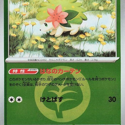 12-shaymin-energysymbolpattern