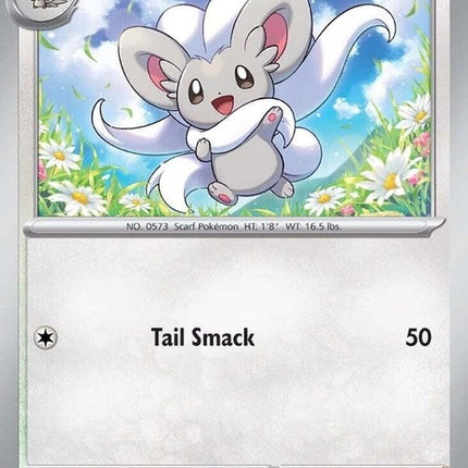 126-cinccino