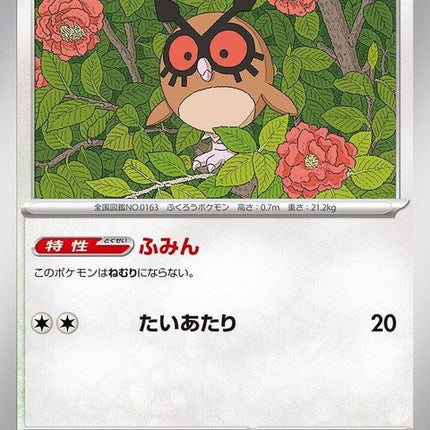 127-hoothoot