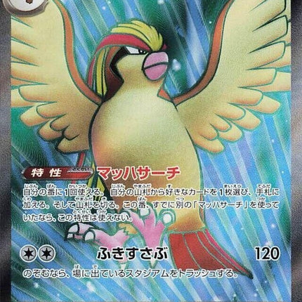 128-pidgeotex
