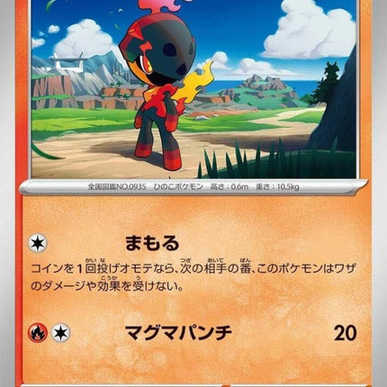 13-charcadet