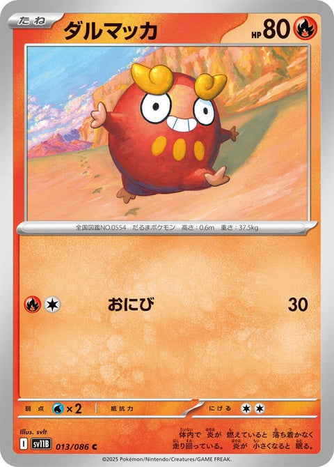 13-darumaka