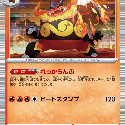 13-emboar