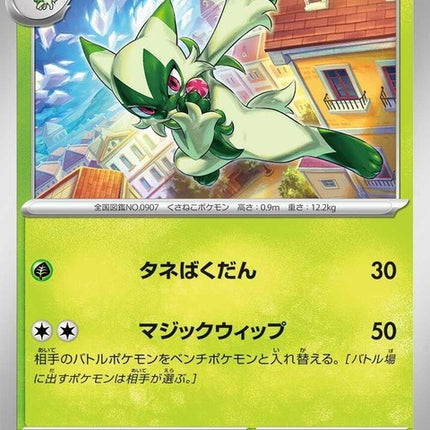 13-floragato