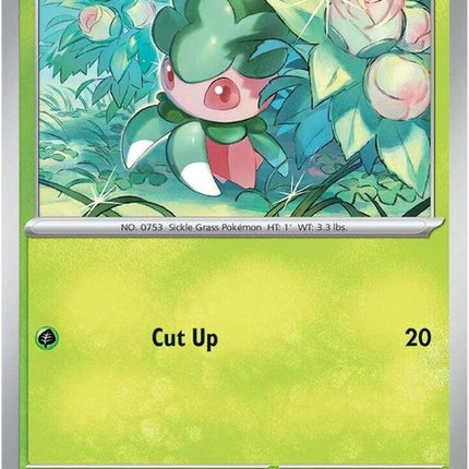 13-fomantis
