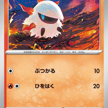 13-larvesta