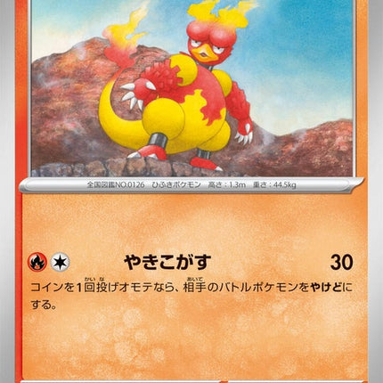 13-magmar