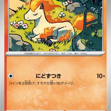 13-ponyta