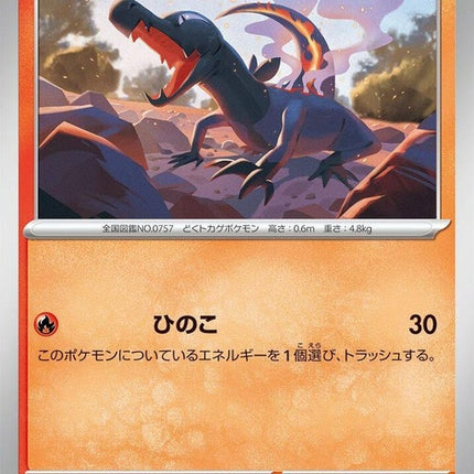 13-salandit