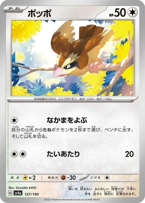 137-pidgey