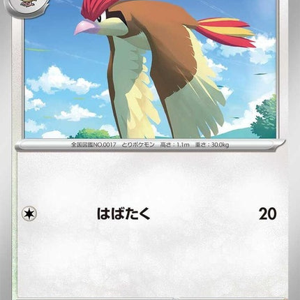 138-pidgeotto