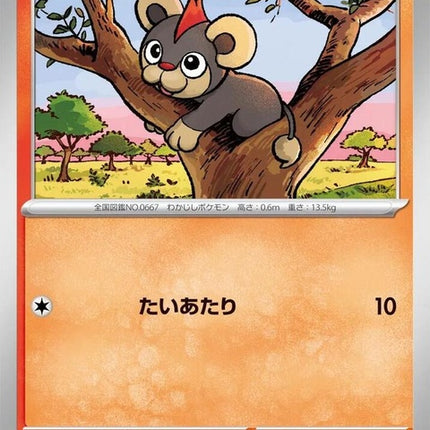 14-litleo