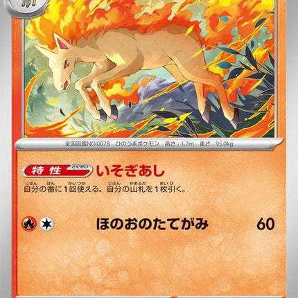 14-rapidash