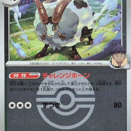 142-hopsdubwool-pokeballpattern