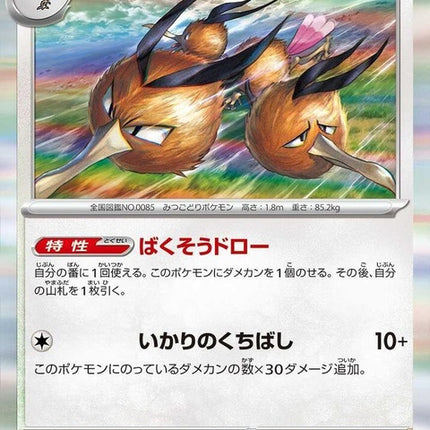 143-dodrio
