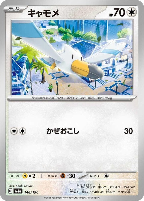 146-wingull