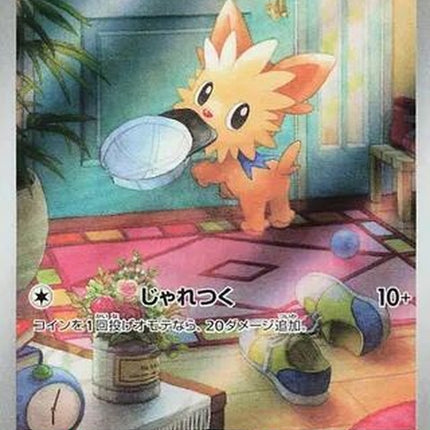 153-lillipup