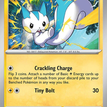 158-pachirisu
