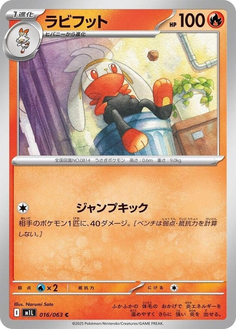 16-raboot