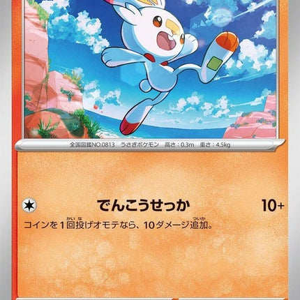 16-scorbunny