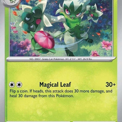 17-floragato
