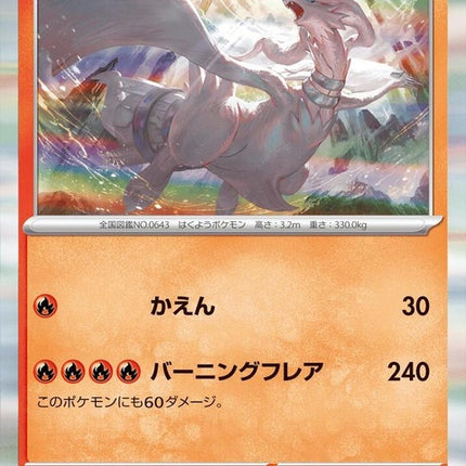 17-reshiram