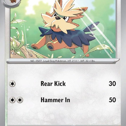 171-herdier