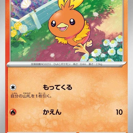 18-torchic