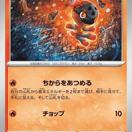 19-charcadet
