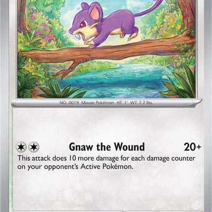 19-rattata