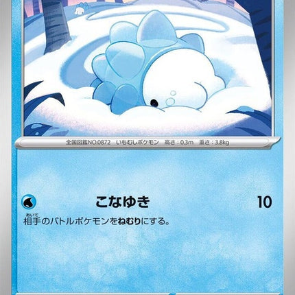 19-snom