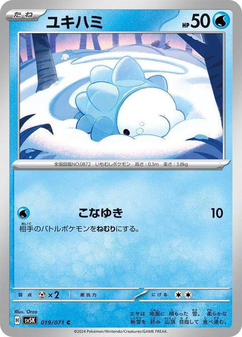 19-snom