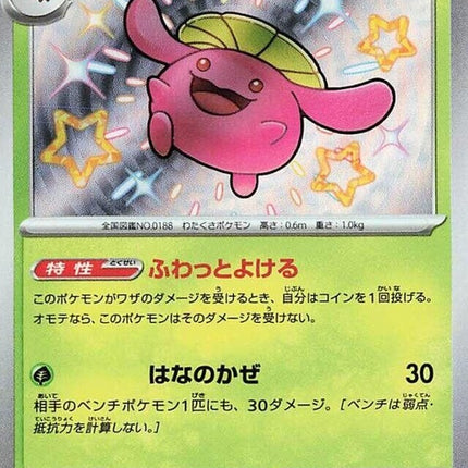 196-skiploom